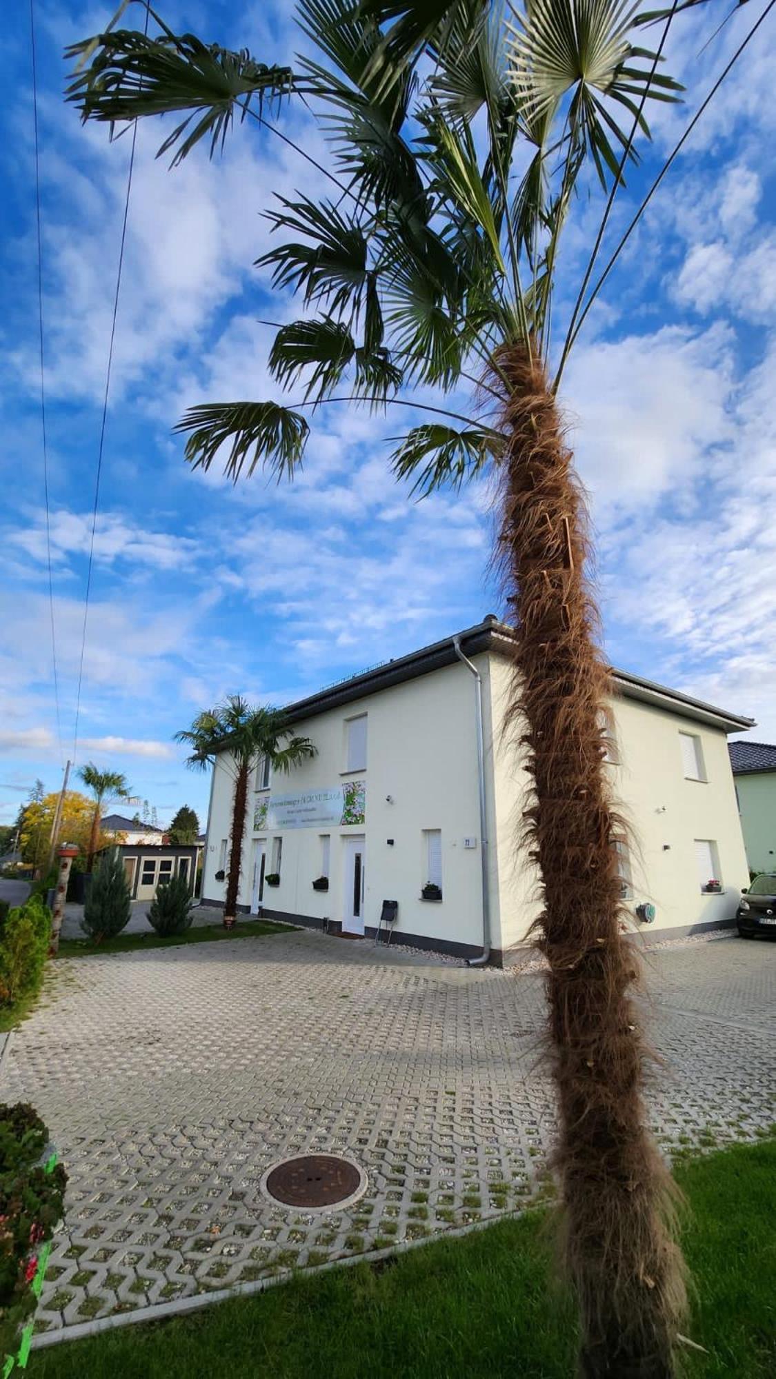 Ferienwohnungen Im Grund 22, 22A, 22C Birkenstein Hoppegarten Esterno foto